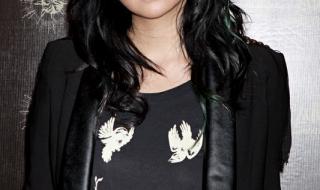 张惠妹阿密特演唱会