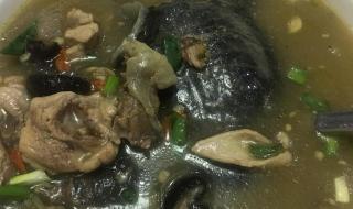 炖汤的做法大全 炖汤的做法大全