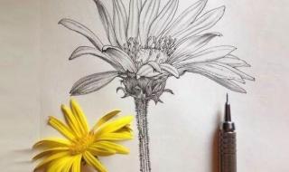 性格色彩学测试 性格色彩学测试