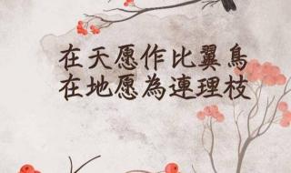 在天愿作比翼鸟 在天愿作比翼鸟