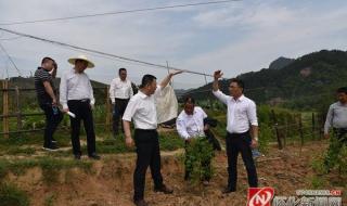 溆浦到怀化的火车 溆浦到怀化的火车