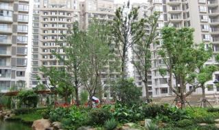 合肥二手房交易市场