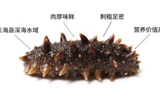 张奶奶海参 张奶奶海参