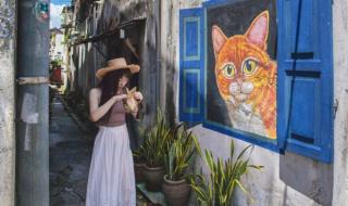 在烈日和暴雨下 在烈日和暴雨下