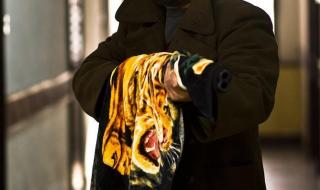 最新电影2013已上映 最新电影2013已上映