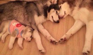 相亲相爱一家人mtv 相亲相爱一家人mtv