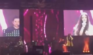 蔡健雅beautifullove 蔡健雅beautifullove