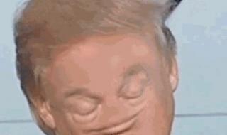 特朗普谈tiktok方案 特朗普谈tiktok方案