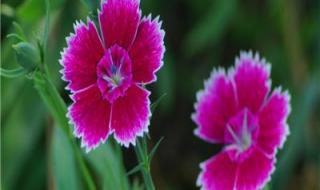 微信头像上新了 微信头像上新了