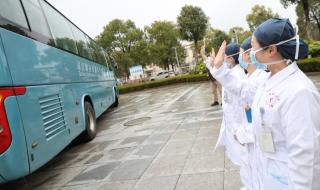 新型冠状病毒人数