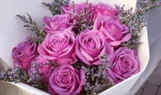 早安晨之美 早安晨之美