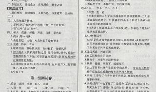 五年级下册暑假答案 五年级下册暑假答案