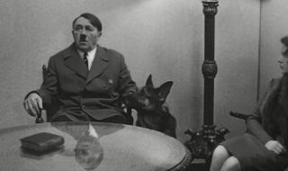 鹬蚌相争的道理