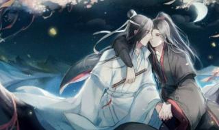 魔道祖师大尺寸污图