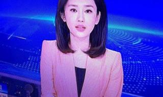 央视新闻女主播 央视新闻女主播