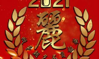 不负韶华的励志句子 不负韶华的励志句子