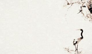 李清照最好的十首诗