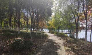 遗爱湖公园 遗爱湖公园