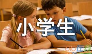 小白兔作文 小白兔作文