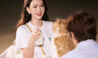 妻子的浪漫旅行第二季 妻子的浪漫旅行第二季