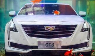 男孩开凯迪拉克追高铁 男孩开凯迪拉克追高铁