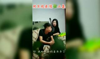 五道口段宏楠背景 五道口段宏楠背景