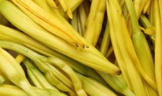 黄花菜为什么叫忘忧草 黄花菜为什么叫忘忧草