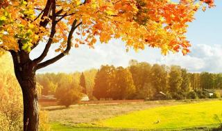 笑看人生什么意思