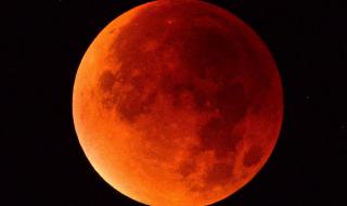 什么人不能看血月