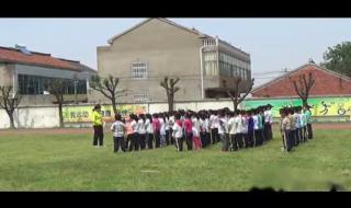 小学科学课件 小学科学课件