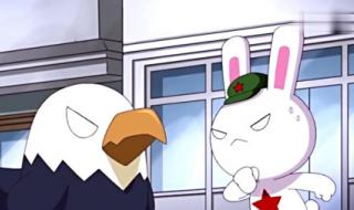 兔子战术什么意思