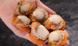 元贝驾考科目三 元贝驾考科目三