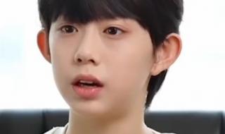 TF家族四代 TF家族四代