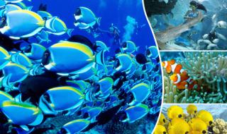 北京太平洋海底世界