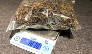 原来普洱茶长这样