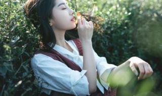 leaveme是什么意思