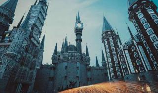 在霍格沃兹的中国人