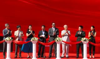 尼古拉斯凯奇电影全集 尼古拉斯凯奇电影全集