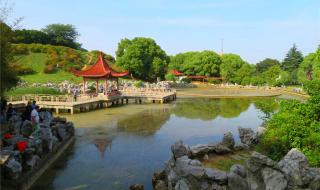 南京已经没有大厂了