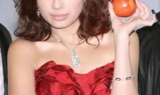 飞儿乐队主唱詹雯婷