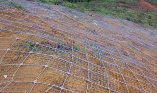 主动柔性防护网