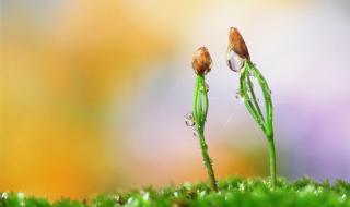 男生喜欢上进的女生吗 男生喜欢上进的女生吗