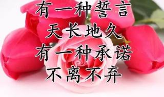 情人节祝福图片 情人节祝福图片