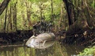 厄瓜多尔是哪里的国家 厄瓜多尔是哪里的国家