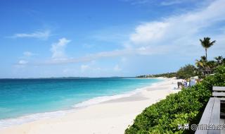 美洲有哪些国家组成