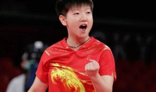 wtt乒乓球世界排名